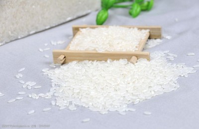 大米米乐鼠稻花香