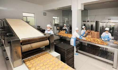 食品厂生产车间内墙墙面材料选材大全