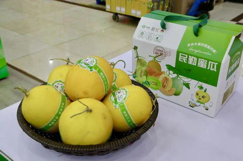 组图丨2024年民勤特色农产品推介暨蜜瓜全网发售仪式在北京举行