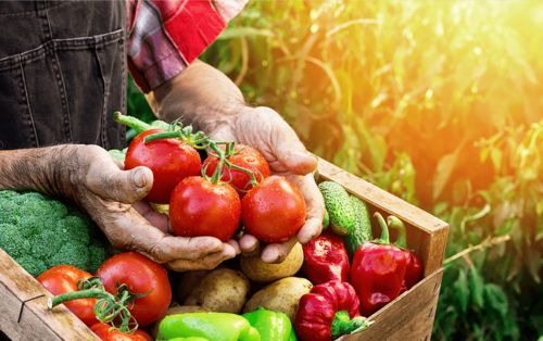 万亿农产品上行赛道 米米乐如何构筑话语权护城河